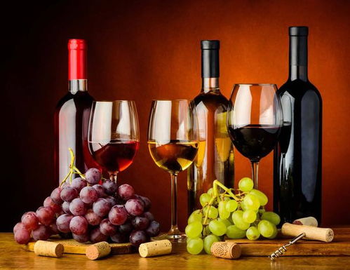 葡萄酒法规的含义和内容