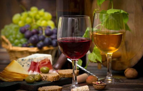 葡萄酒的横放与竖放储存法
