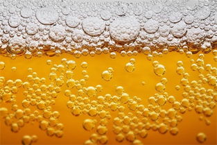 啤酒中的泡沫属于什么性质